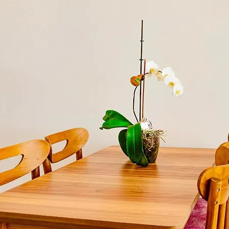 Apartamento Maldives, Right On Sea In Center Of *