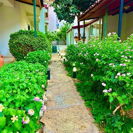 Maldives, Right On Sea In Center Of * 페티예